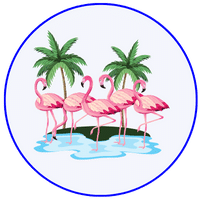 Flamingo Wildlife