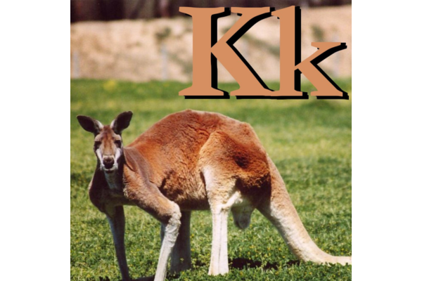 A common card illustration of letter “K.”