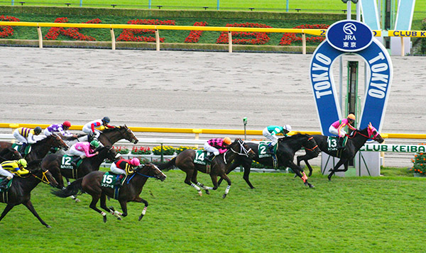 Horse Racing competition in Tokyo