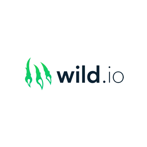 Logo Wild.io Casino